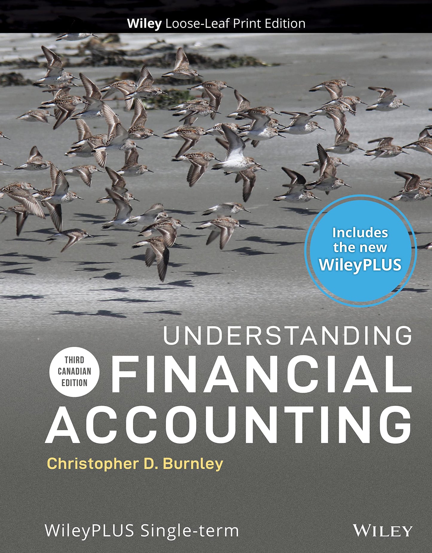 Understanding Financial Accounting