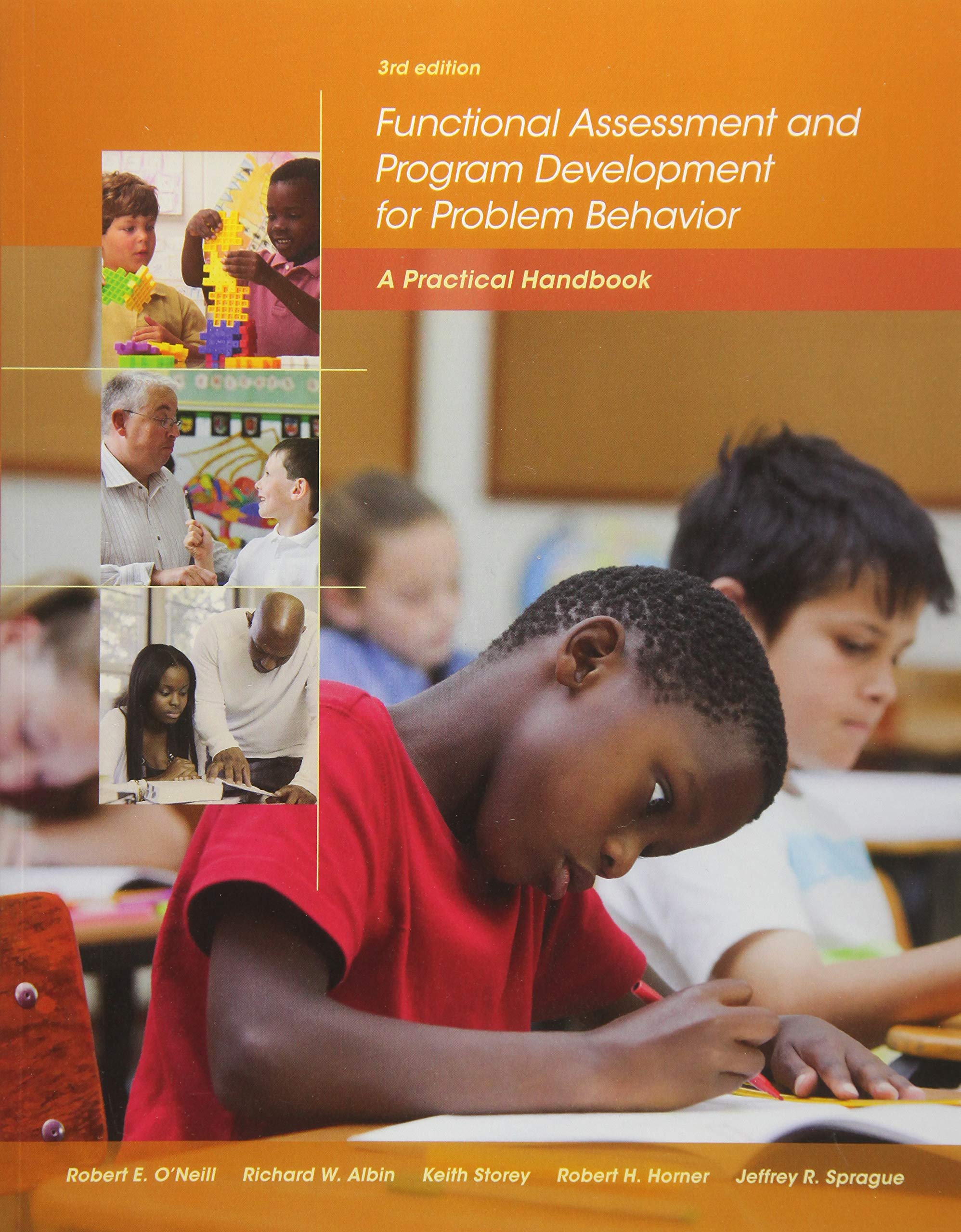 Functional Assessment and Program Development for Problem Behavior
