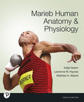 Human Anatomy and Physiology