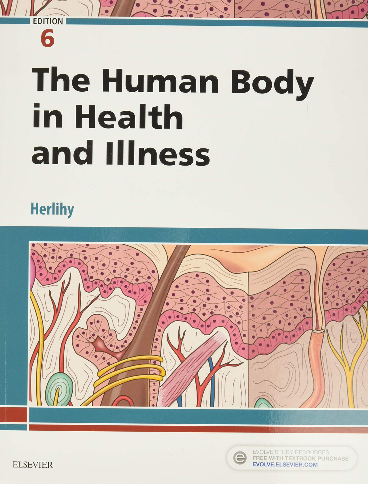 The Human Body in Health and Illness – Textnet.ca